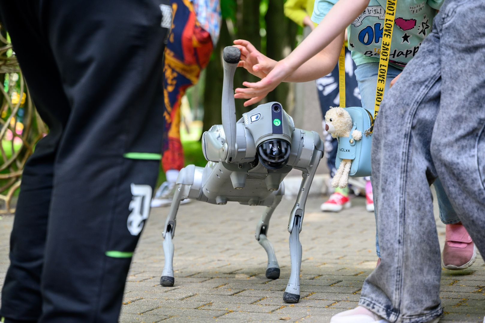 лыткарино, общество, робот, робот-пес, компьютерная академия,