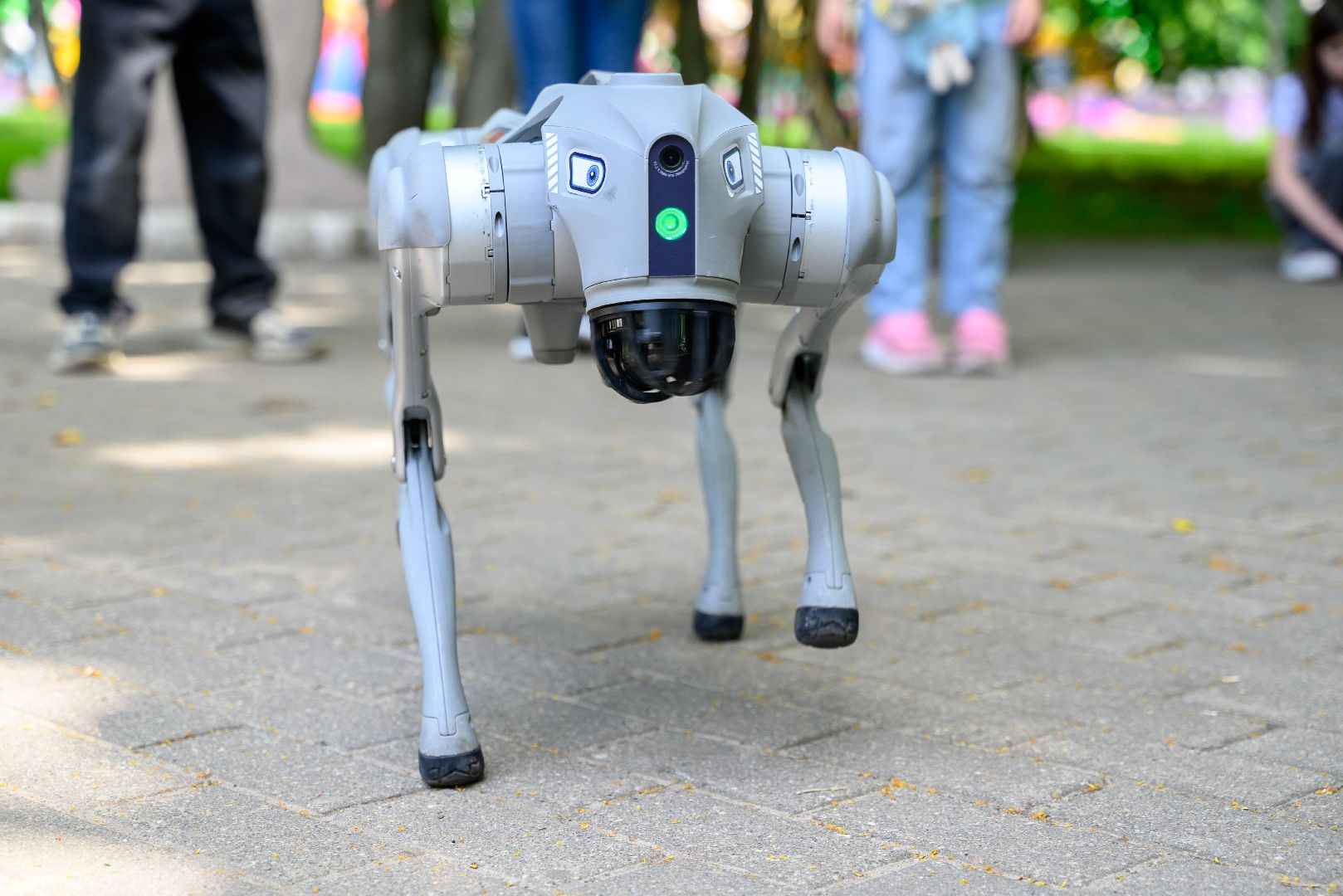 лыткарино, общество, робот, робот-пес, компьютерная академия,