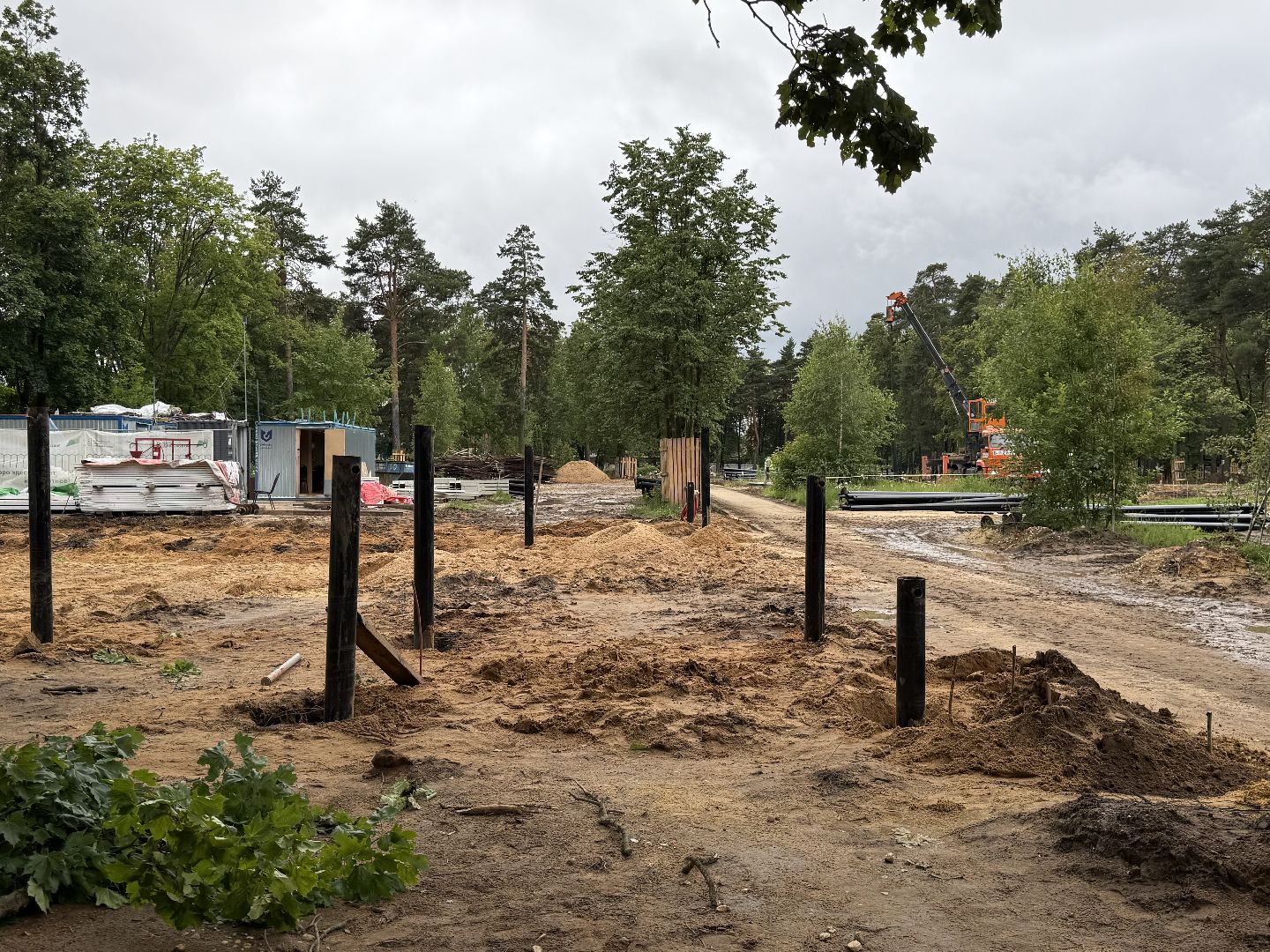 люберцы, малаховка, летний парк в малаховке, благоустрйоство, досуг,