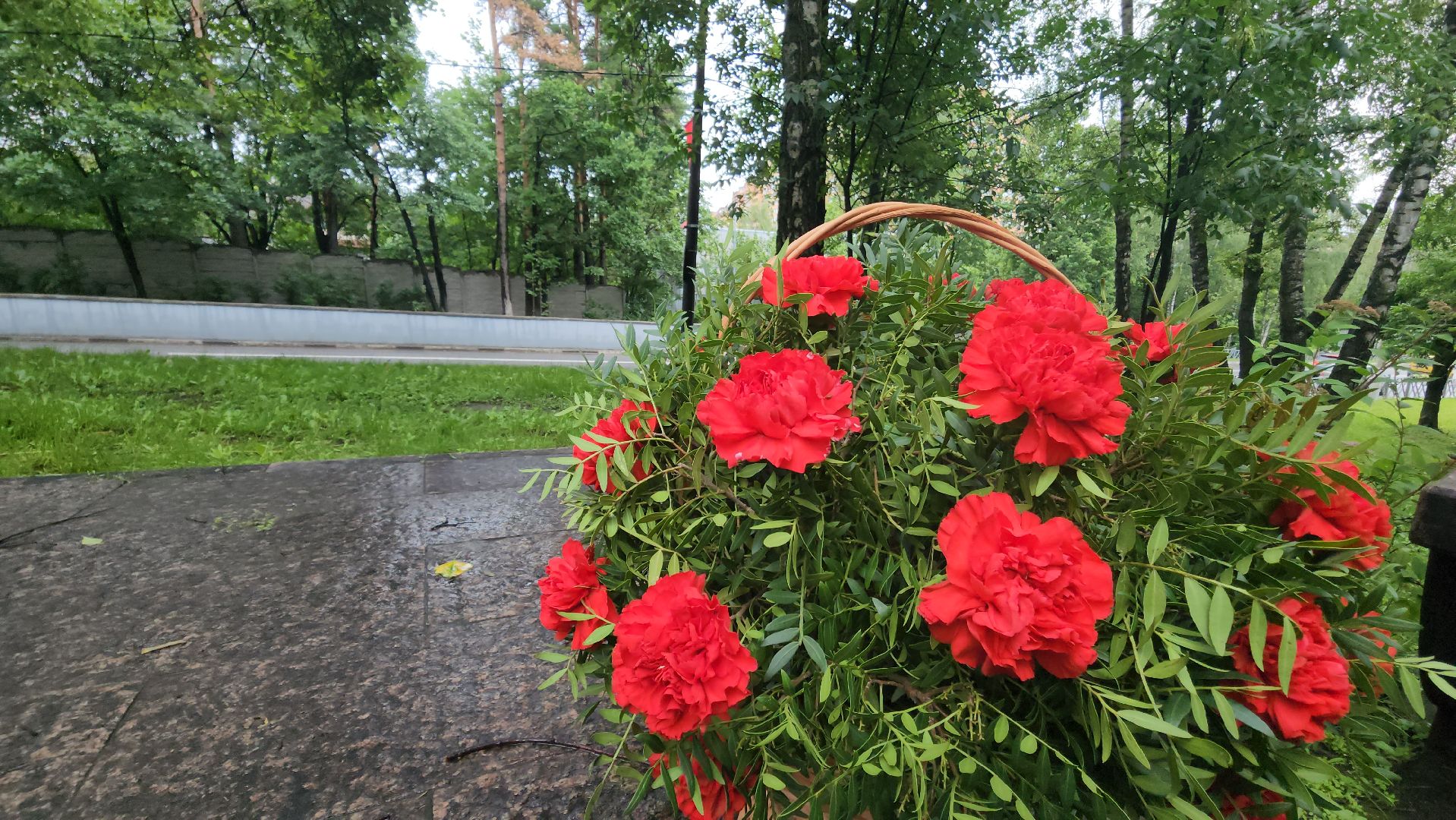красногорск, день ветеранов боевых действий, митинг,