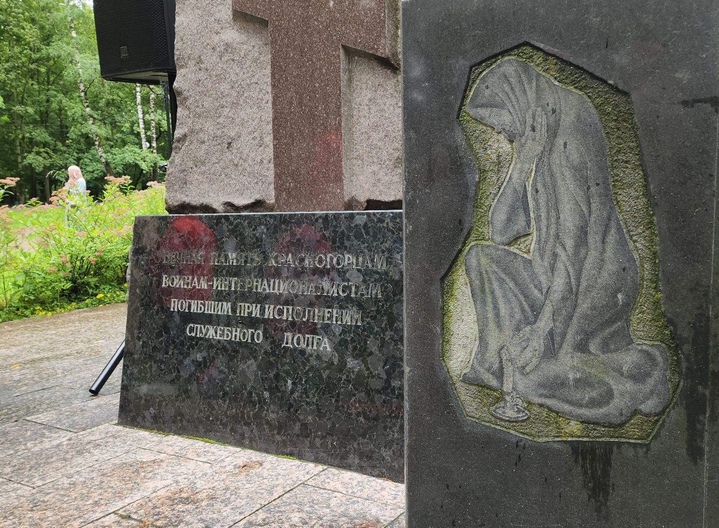 красногорск, день ветеранов боевых действий, митинг,