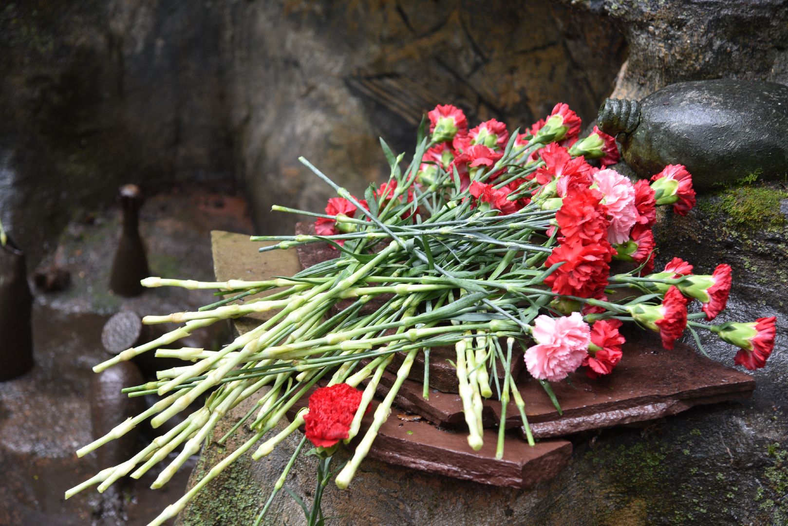 лотошино, боевое братство, день ветерана боевых действий, лотошинский музей, лотошинский парк,