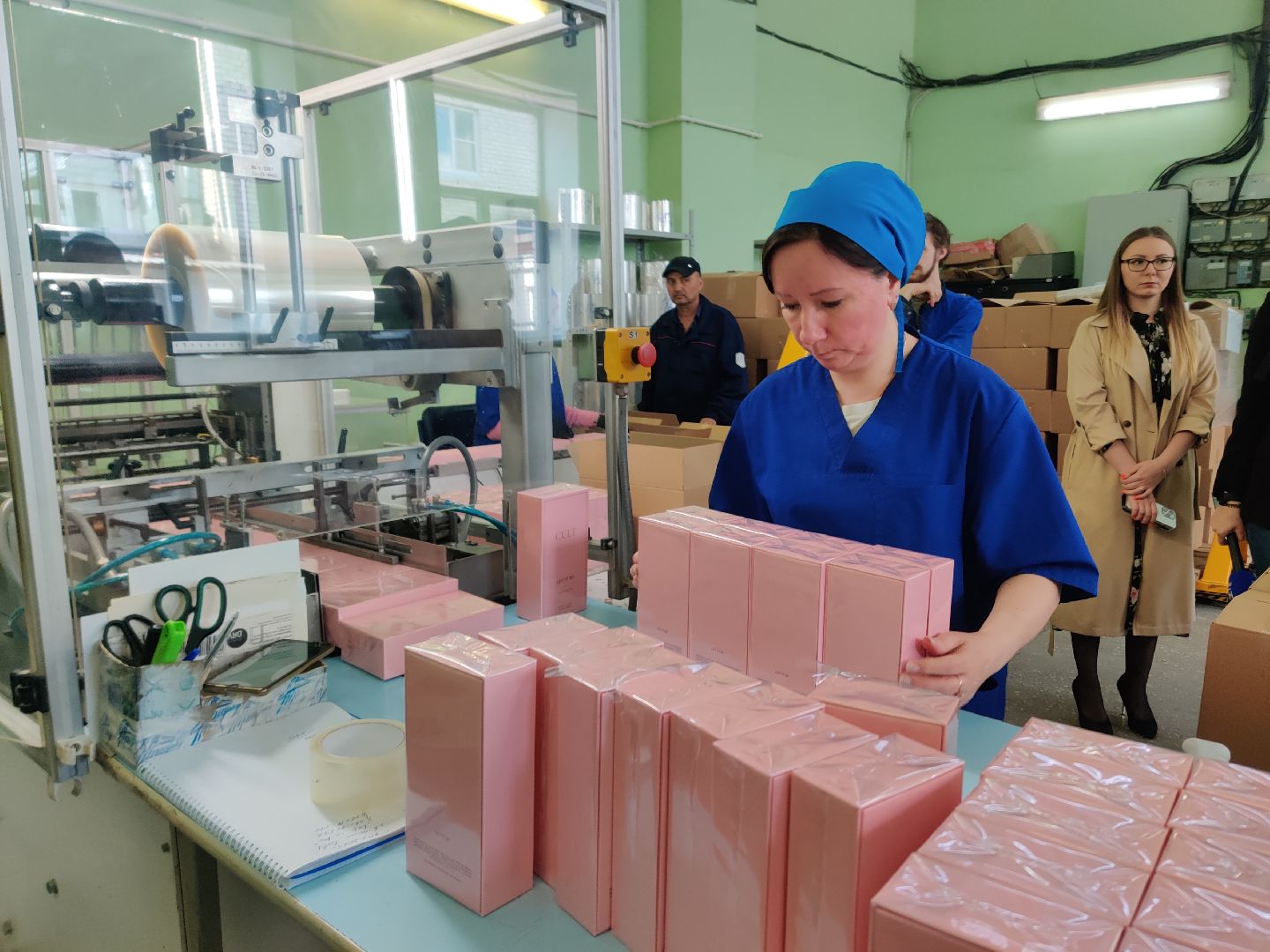 Красноармейск, Пушкинский, экономика, власть, гумпощь