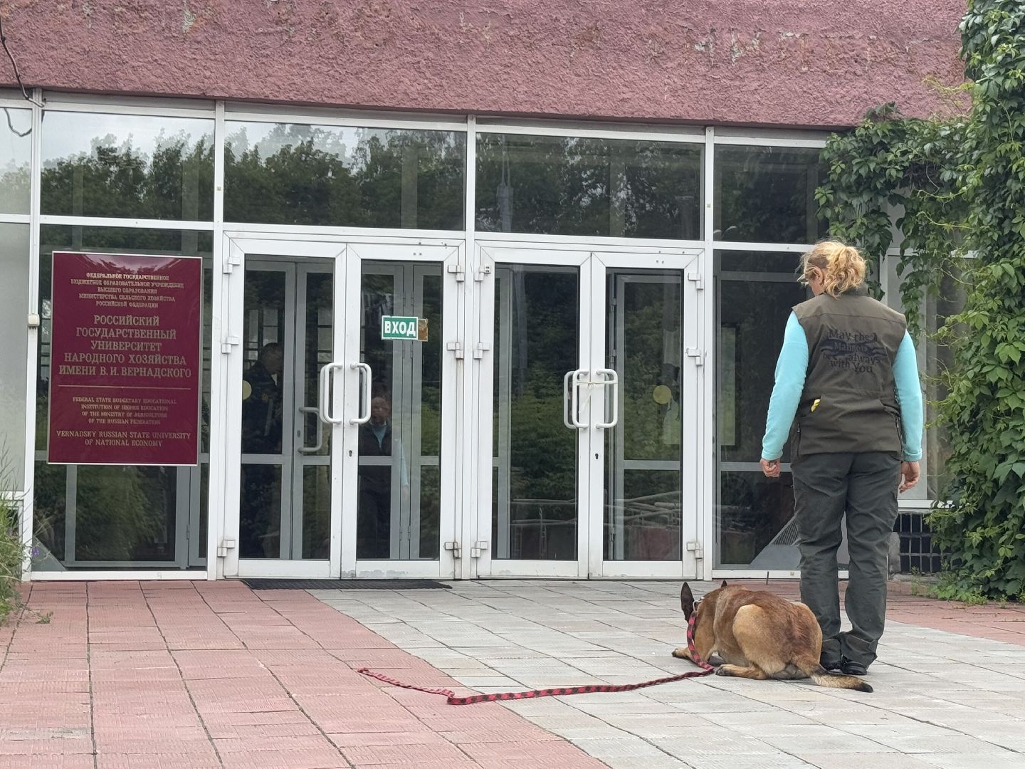 международный день собак, Балашиха, Университет Вернадского Балашиха, кинологический центр Балашиха,