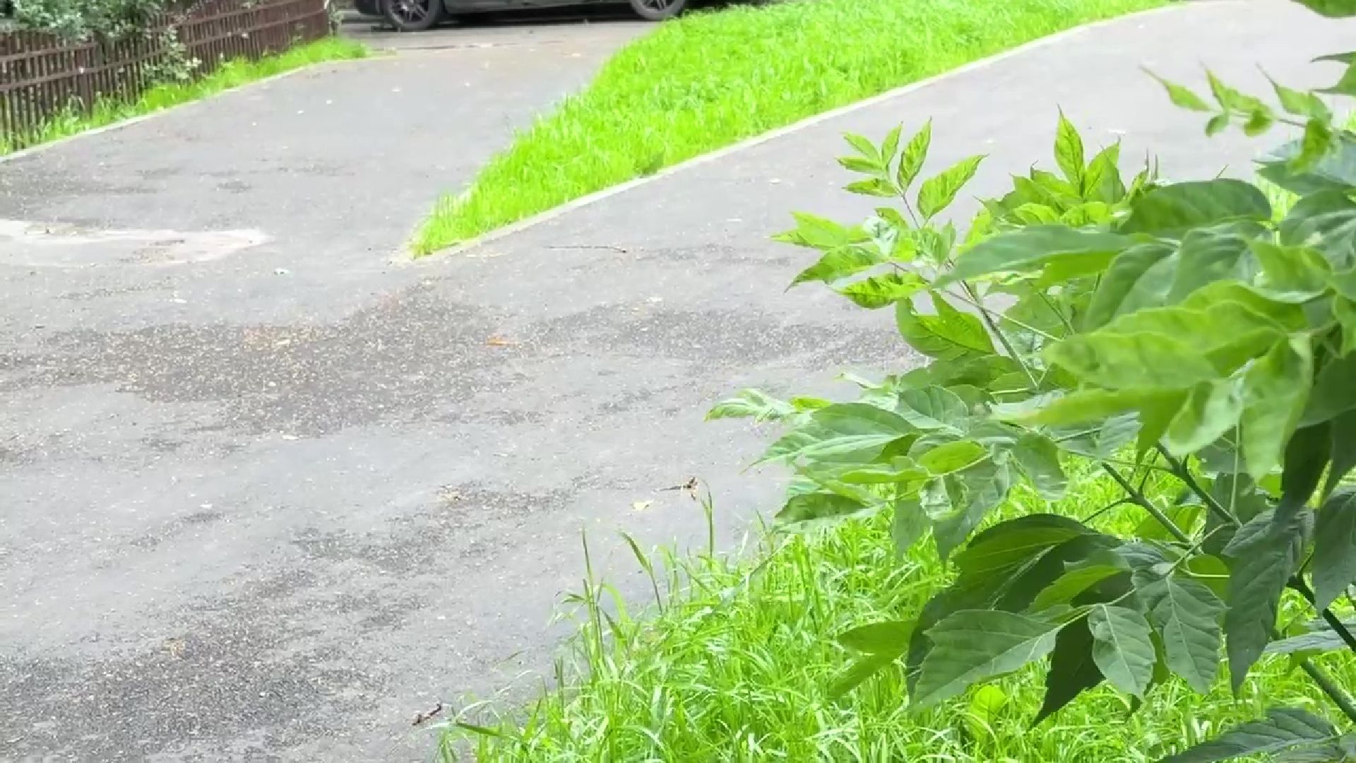 Реутов, благоустройство, народные тропы, пешком,