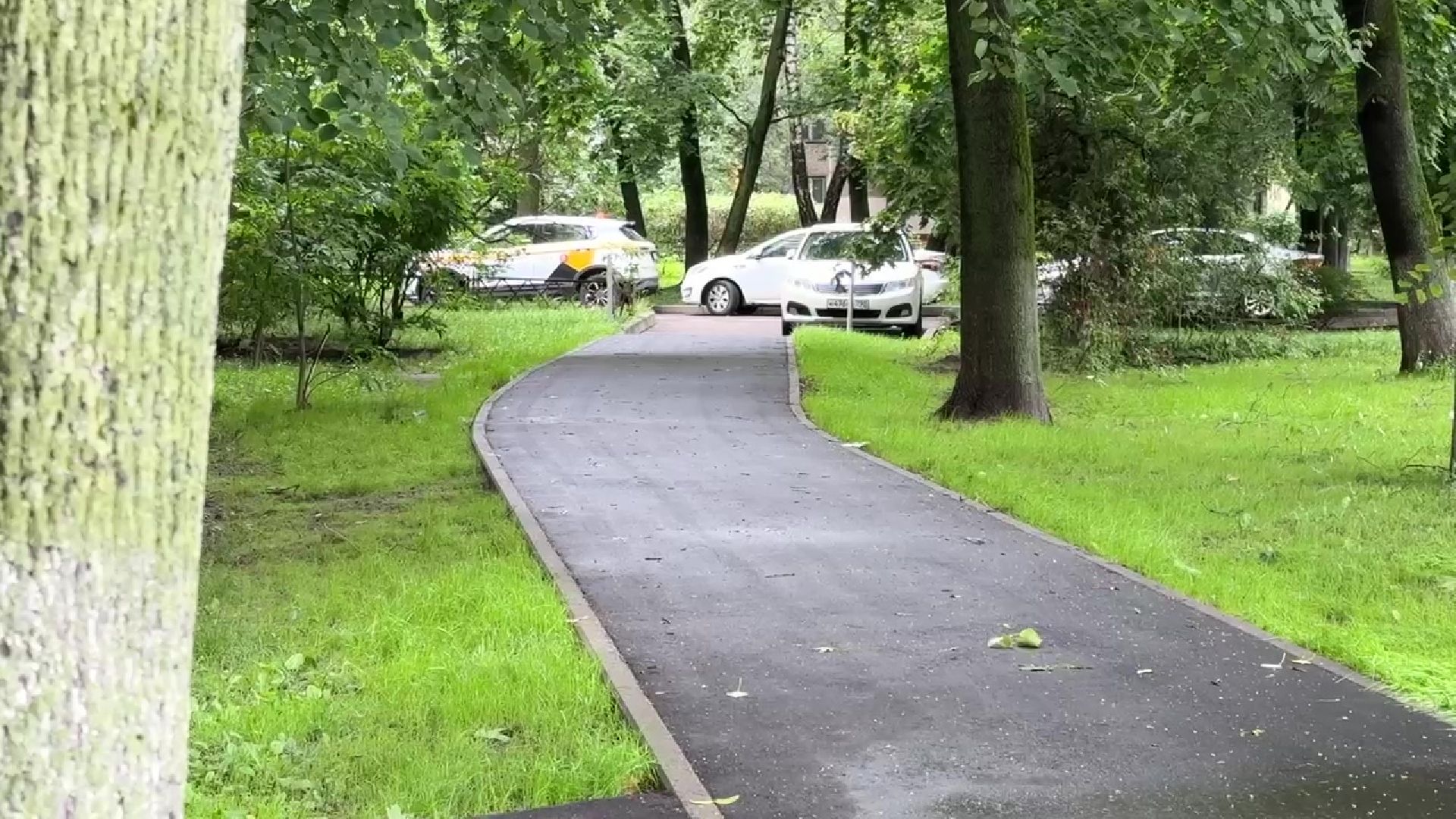 Реутов, благоустройство, народные тропы, пешком,