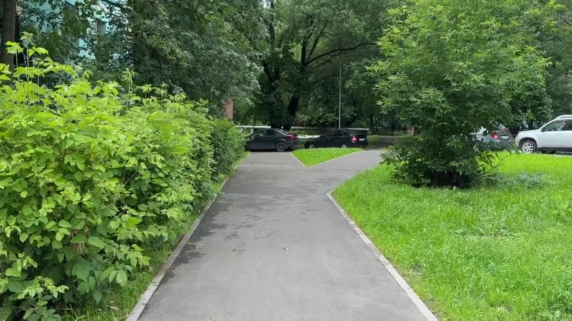 Реутов, благоустройство, народные тропы, пешком,