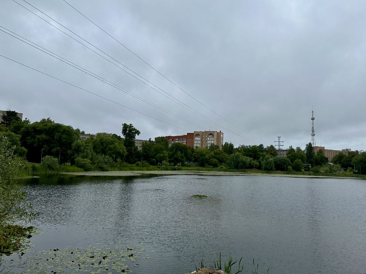 пушкино, благоустройство, озеро Травинское,