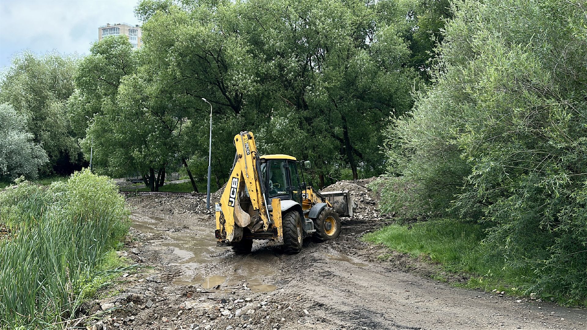 пушкино, благоустройство, озеро Травинское,