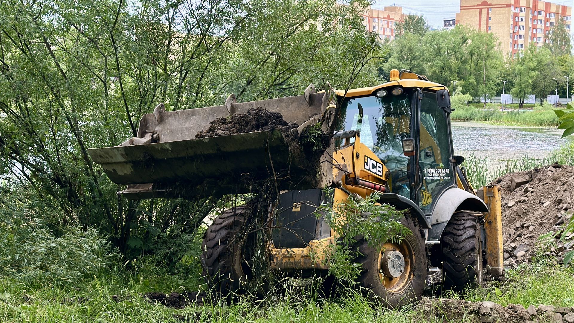 пушкино, благоустройство, озеро Травинское,