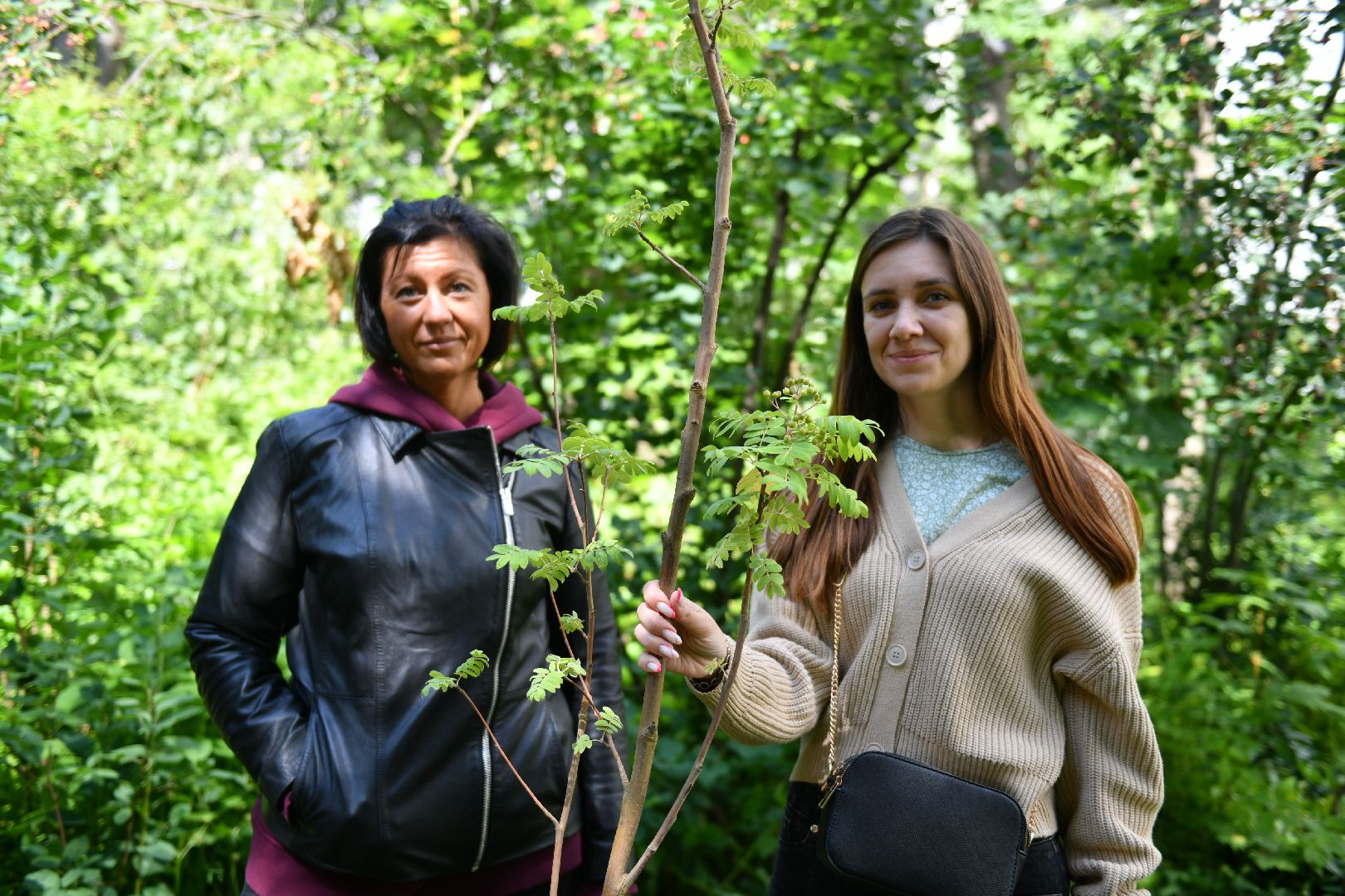 благоустройство, высадка деревьев, лыткарино, жкх,