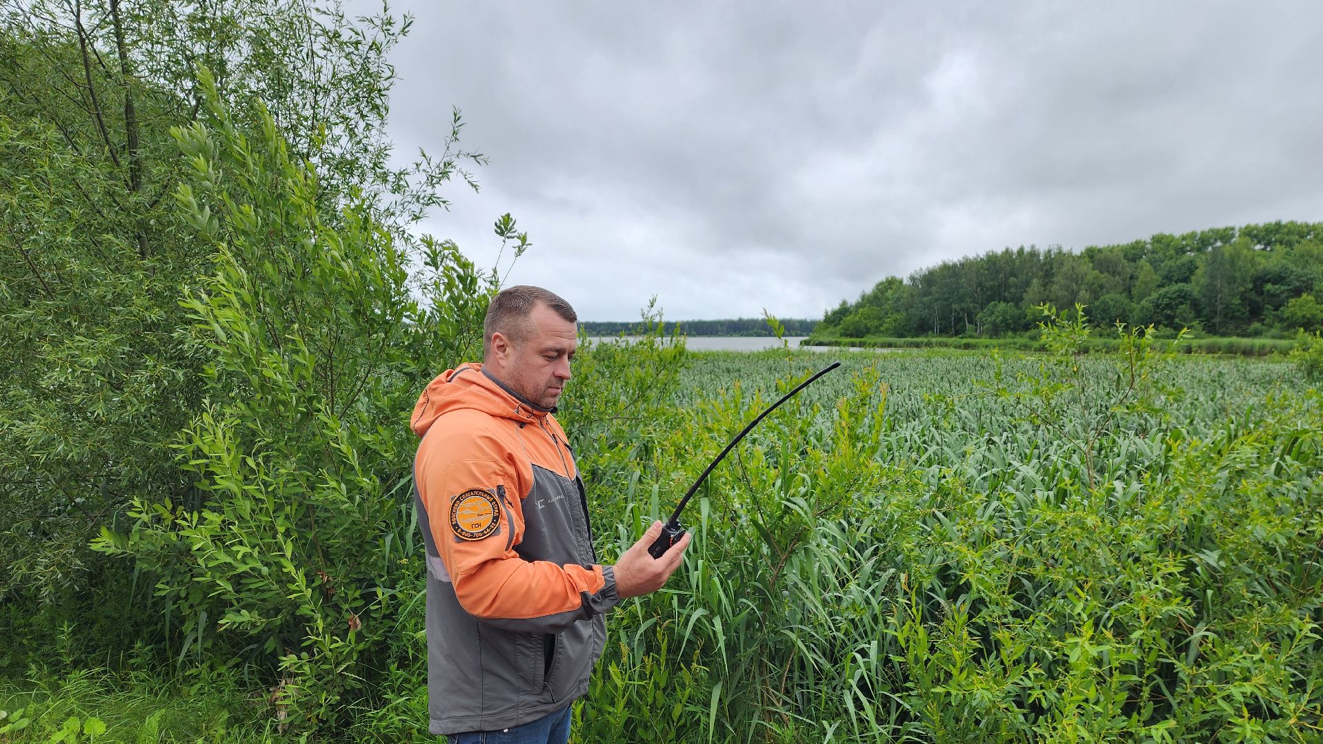 солнечногорск, лиза алерт, поиск людей, дети и подростки, лето,