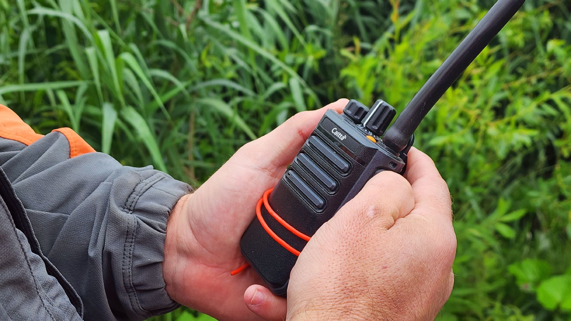 солнечногорск, лиза алерт, поиск людей, дети и подростки, лето,