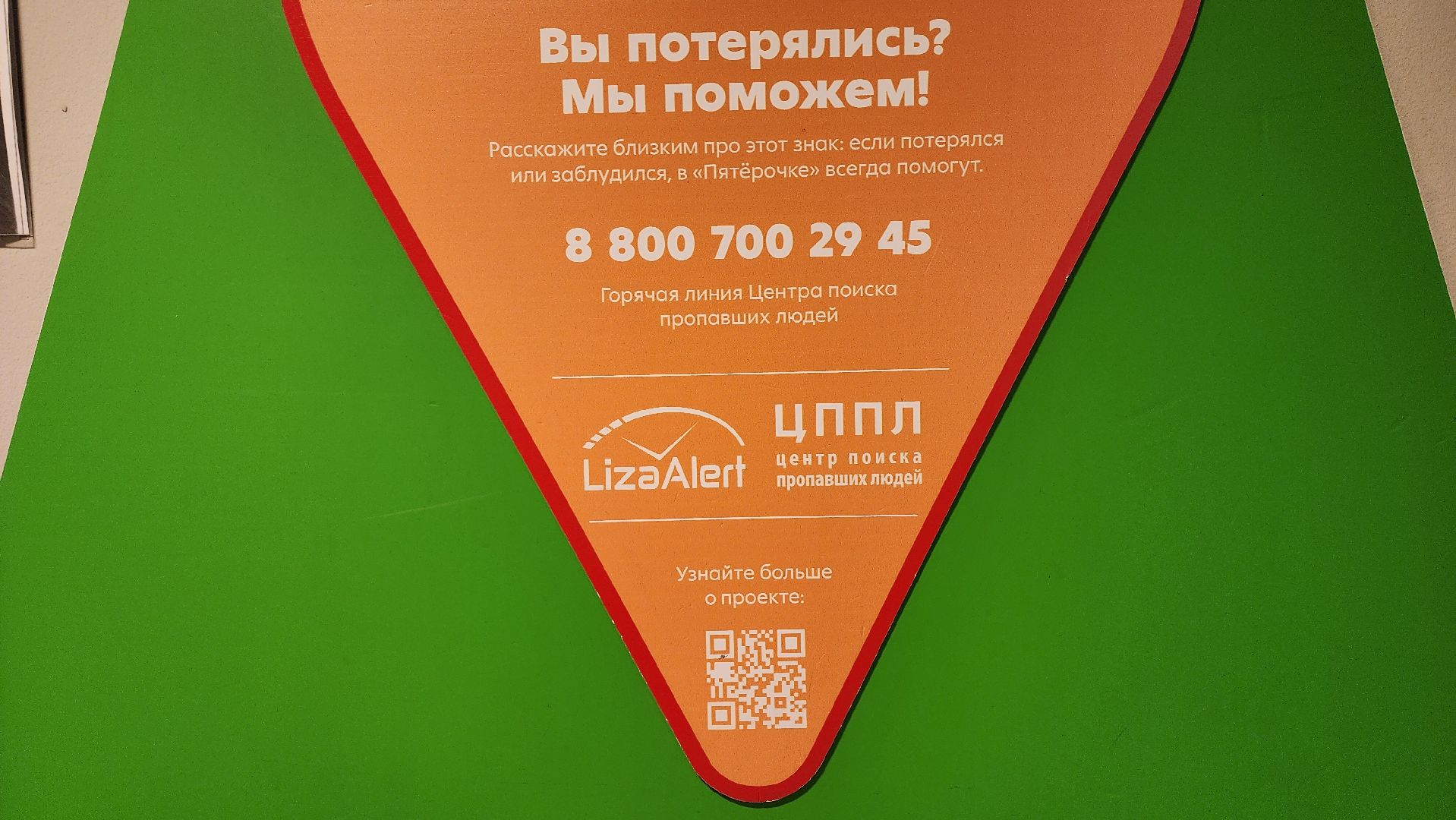 солнечногорск, лиза алерт, поиск людей, дети и подростки, лето,