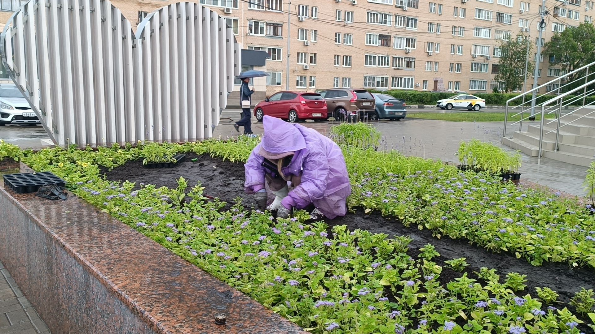 цветы, озеленение, лобня,