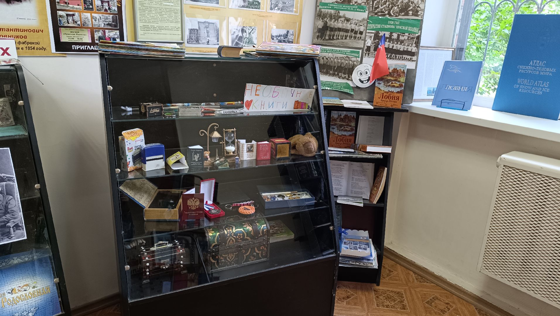 книга, библиотека, лобня,