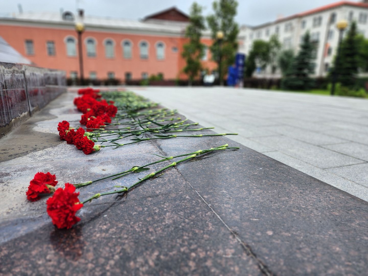 фрязино, возложение цветов, день памяти, ветераны боевых действий,