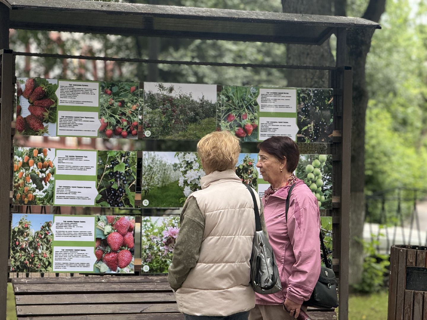 фотовыставка, ленинский городской округ, сквер юность, центр садоводства и питомниководства ,