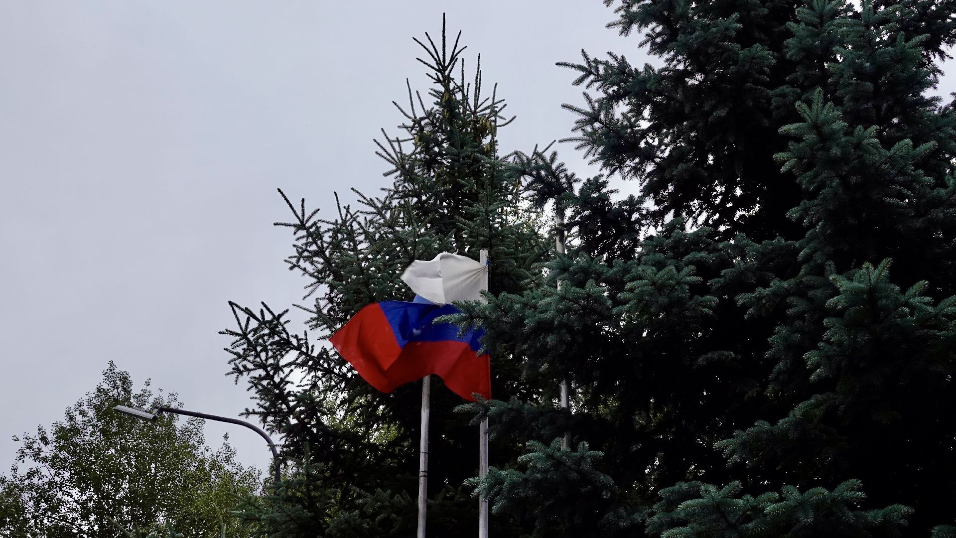 сергиев посад, сергиево-посадский городской округ, весенний призыв, армия , вооруженные силы россии, защита отечества ,