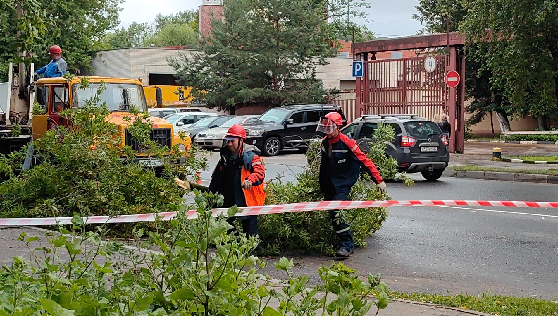 опил деревьев, кран, бригада, дорога, безопасность,