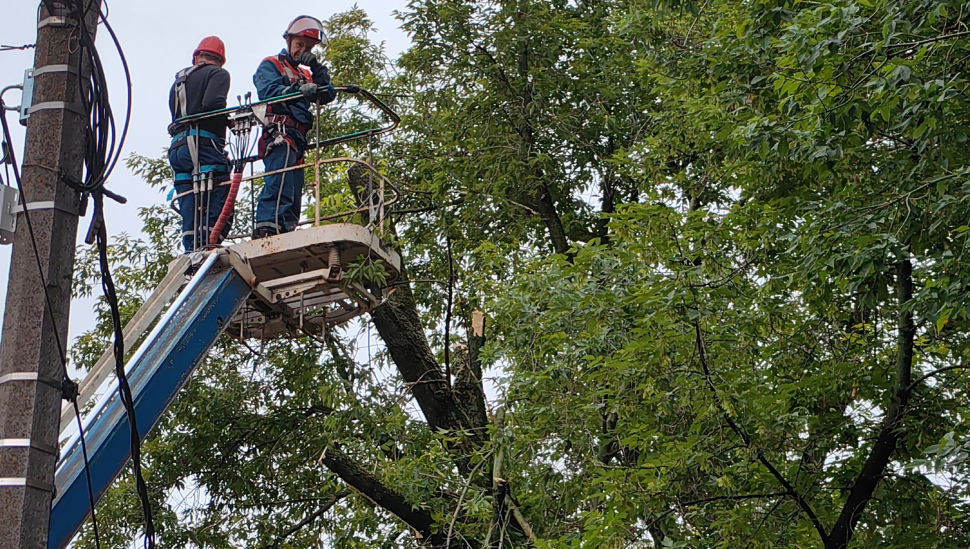 опил деревьев, кран, бригада, дорога, безопасность,