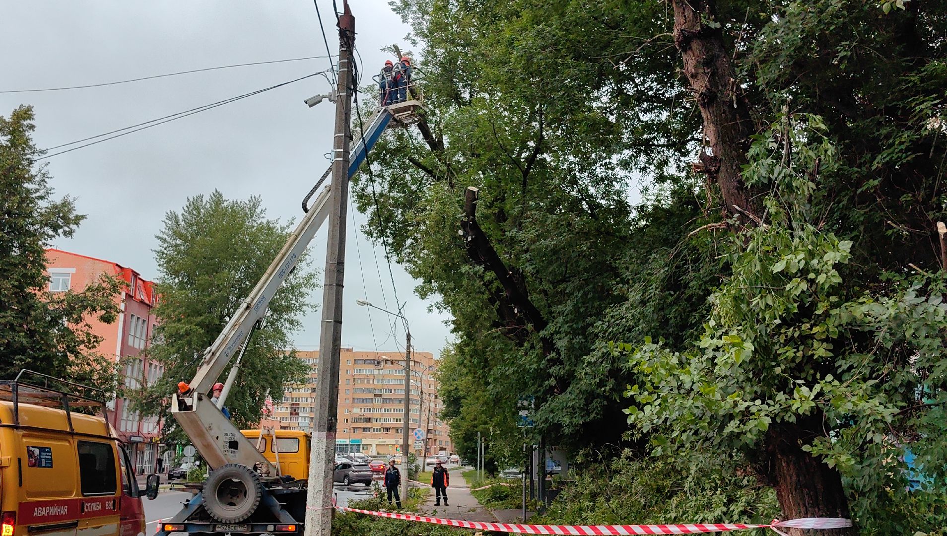 опил деревьев, кран, бригада, дорога, безопасность,
