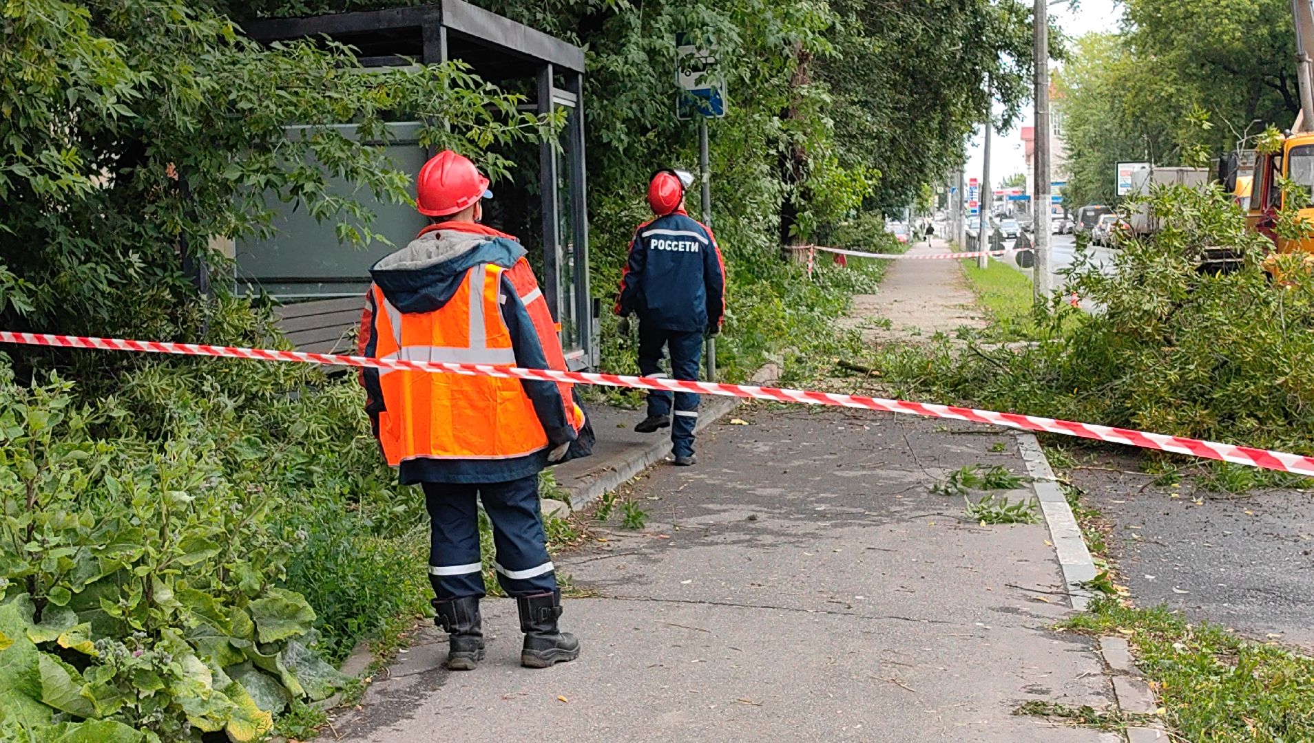 опил деревьев, кран, бригада, дорога, безопасность,