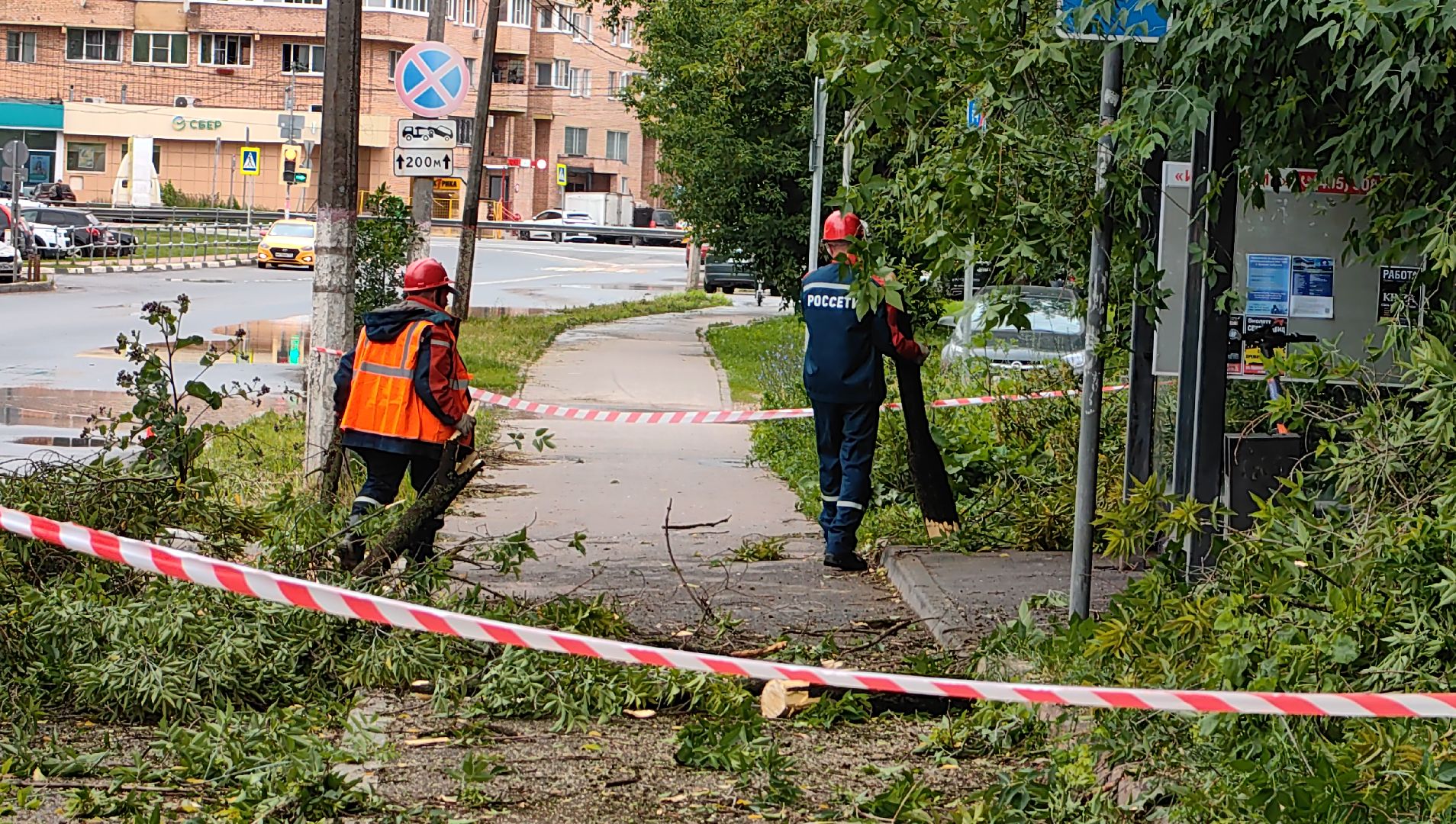 опил деревьев, кран, бригада, дорога, безопасность,