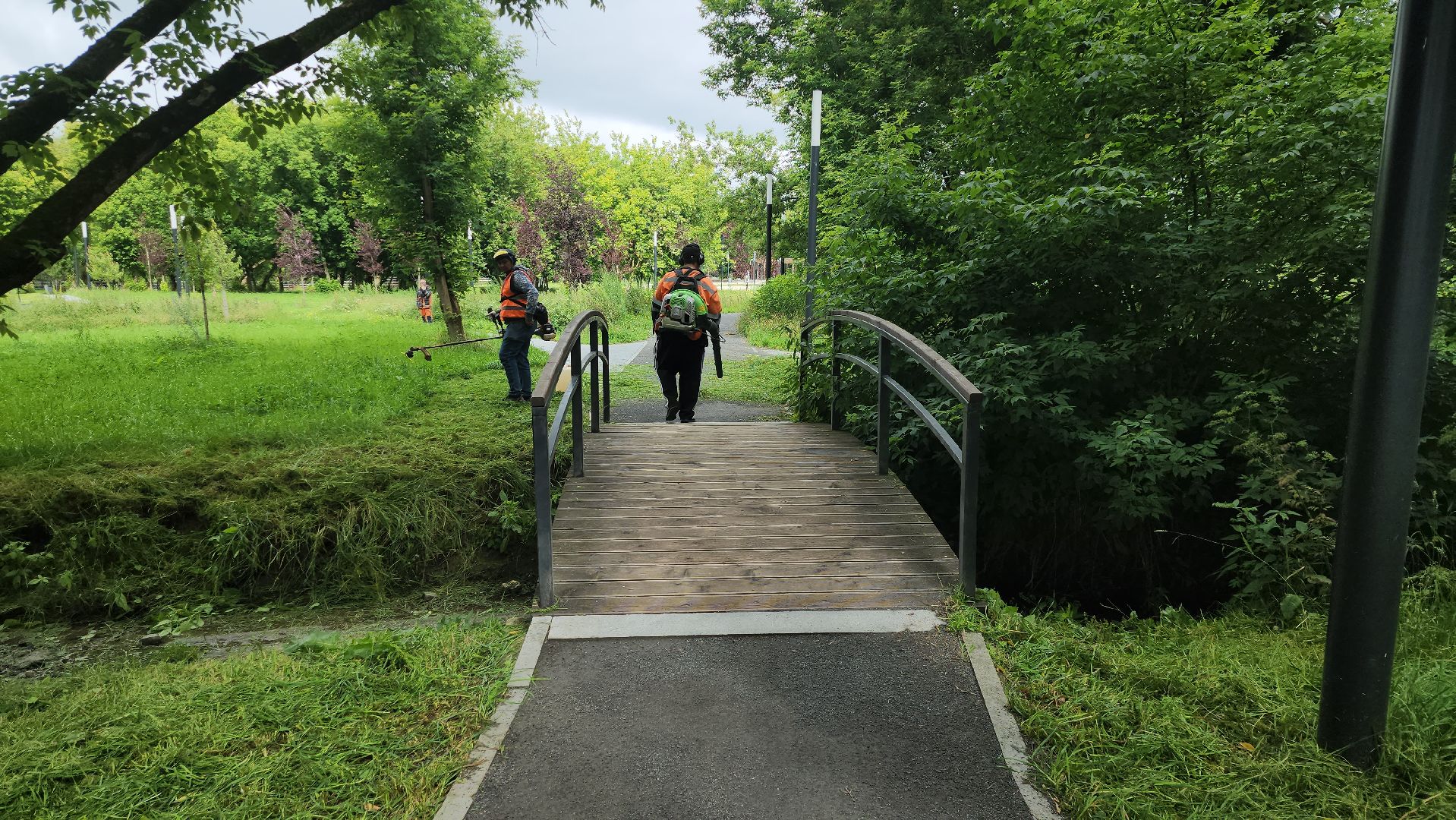 серпухов, подмосковье, уборка парка,