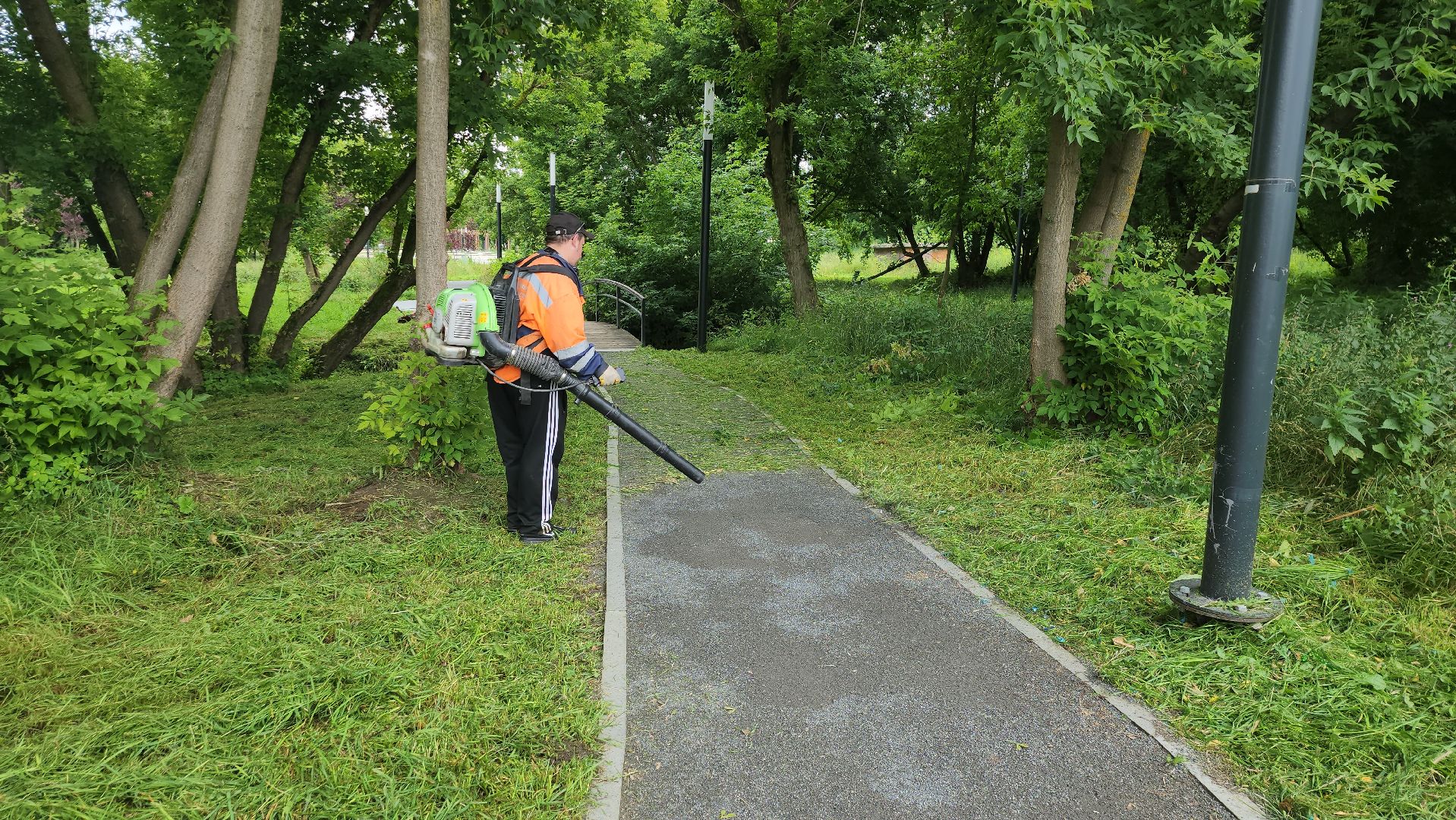 серпухов, подмосковье, уборка парка,