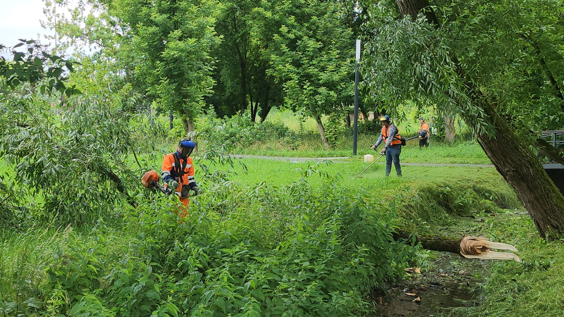 серпухов, подмосковье, уборка парка,
