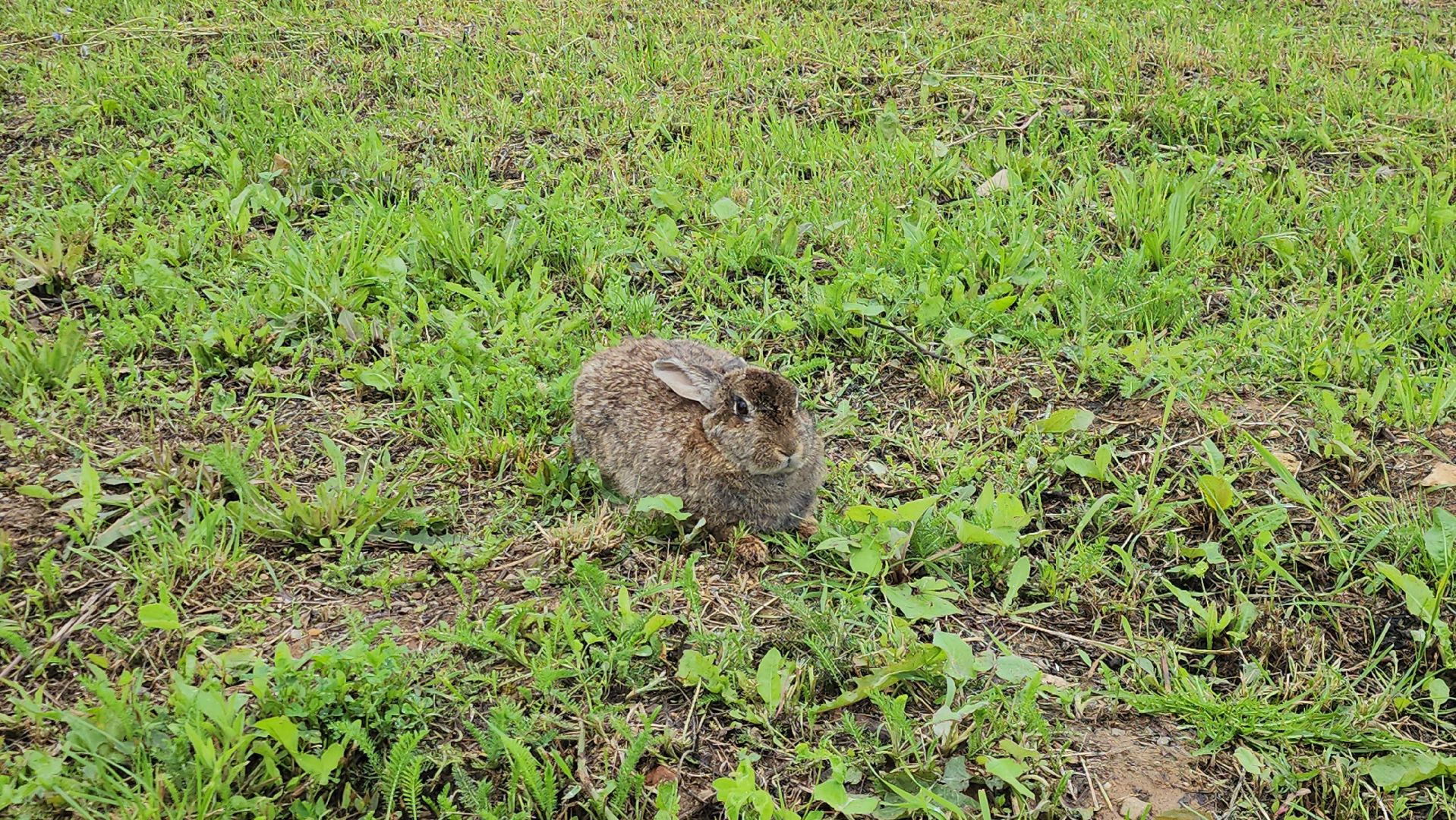 Истра, Эконнмика, Ферма, Сыр, олег сирота,