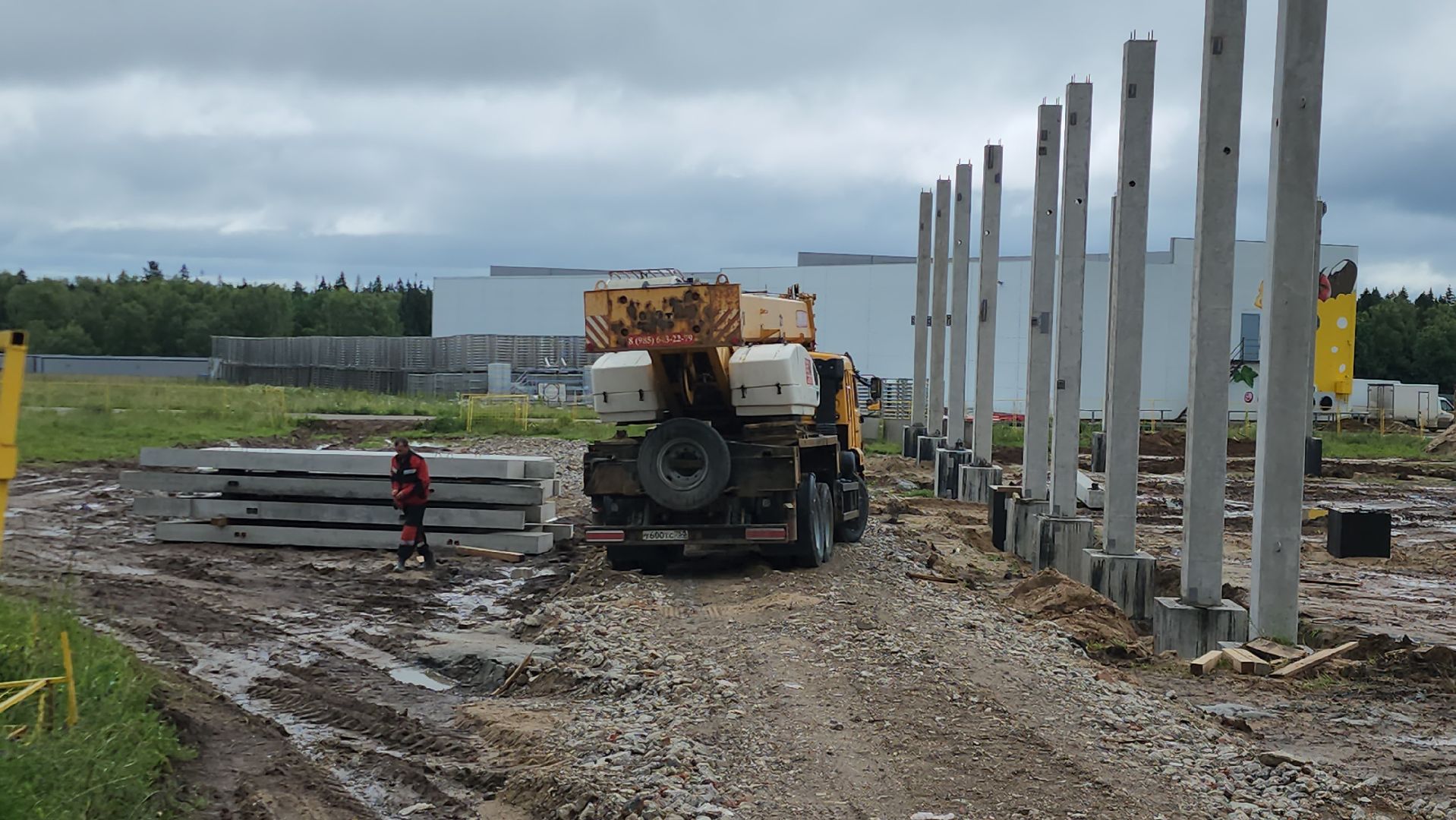 Истра, Эконнмика, Ферма, Сыр, олег сирота,