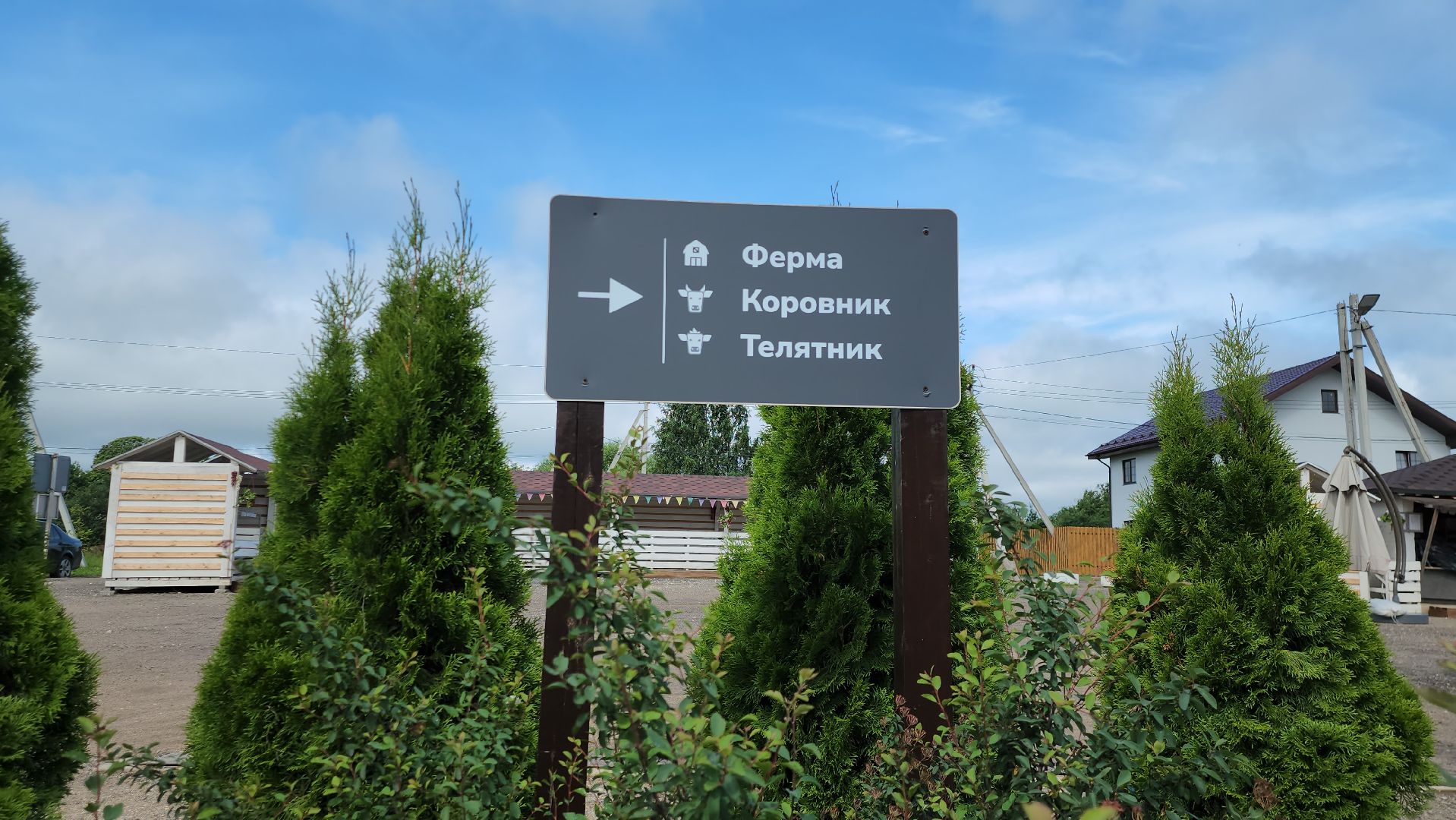 Истра, Эконнмика, Ферма, Сыр, олег сирота,