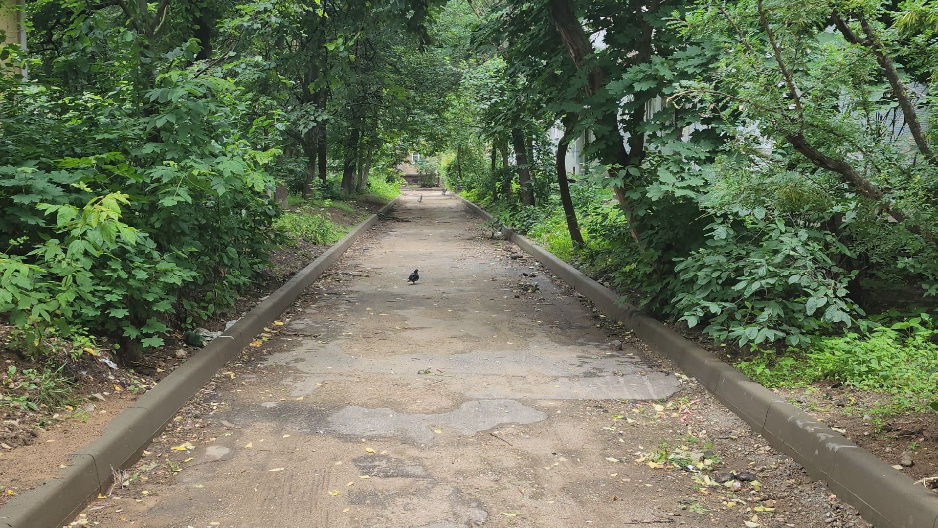 щёлково, благоустройство двора, Обновление улиц,