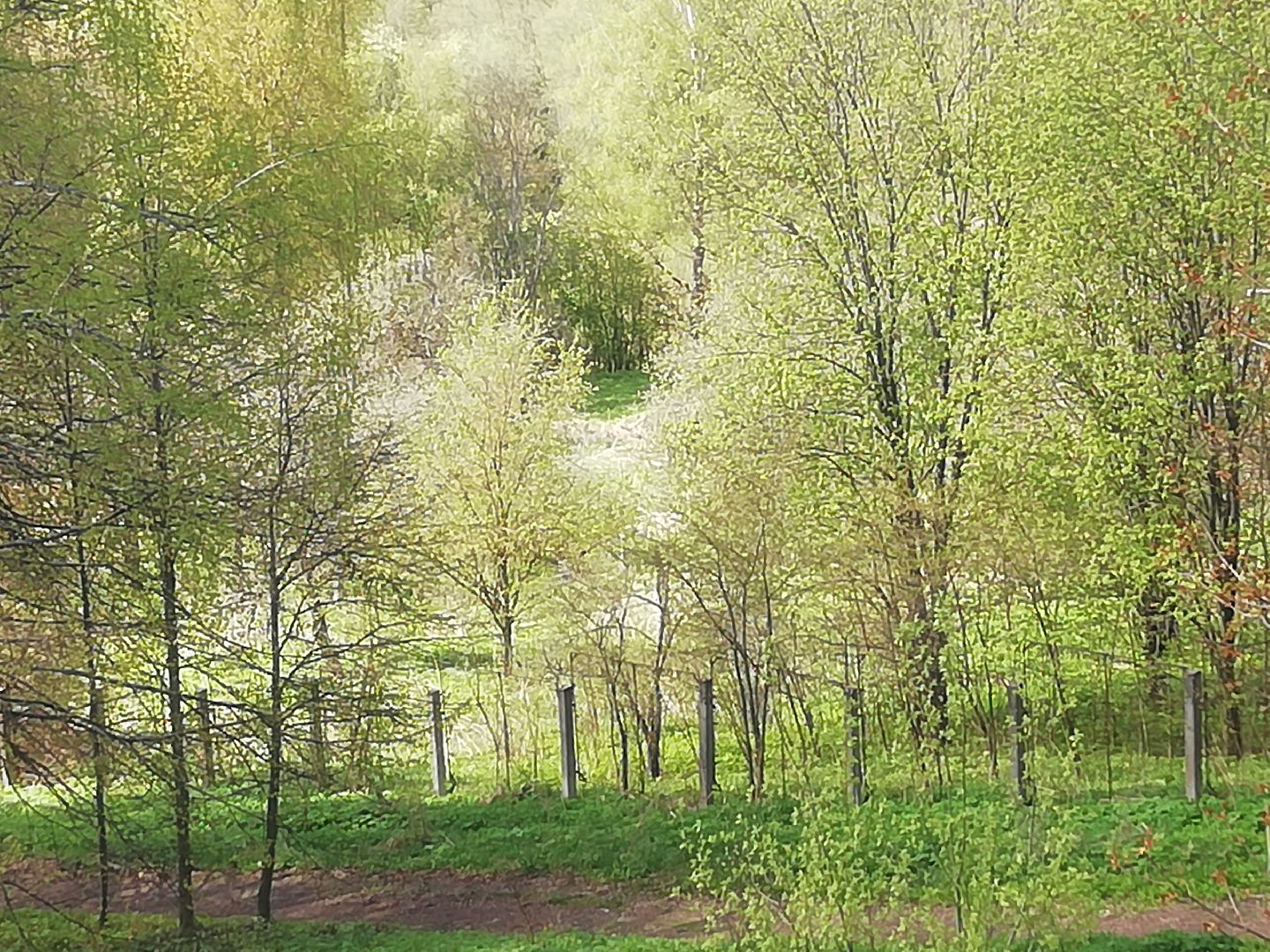 Звенигород, туризм, Саввино-Сторожевский монастырь, эко-тропа, Звенигородский Барбизон