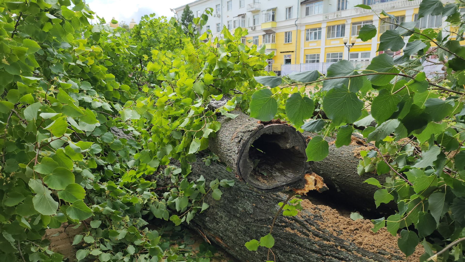ступино, благоустройство, народное голосование,