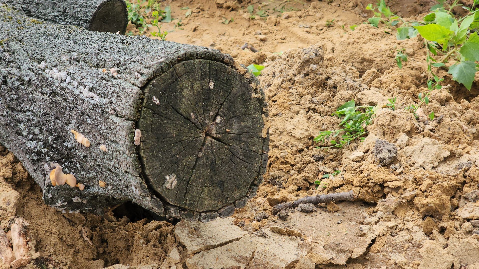 ступино, благоустройство, народное голосование,