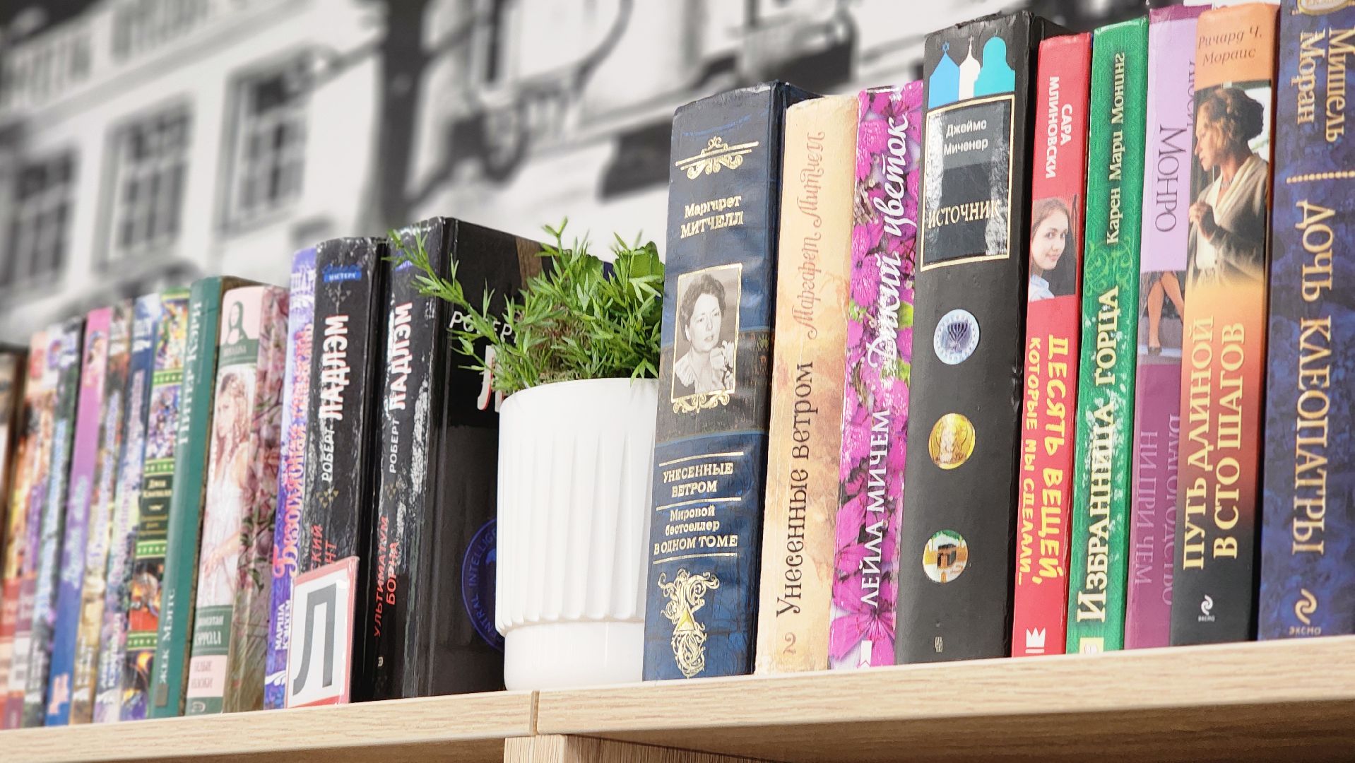 егэ, всош, Руза, нестеровский лицей,