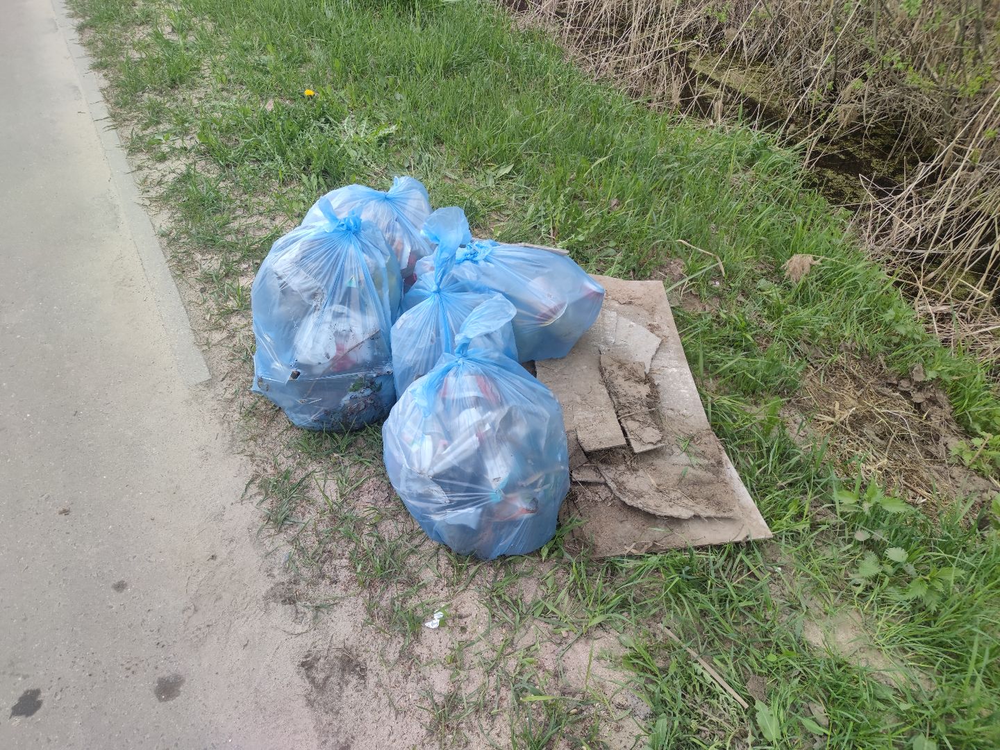 экология, плоггинг, уборка, студенты, Дубна