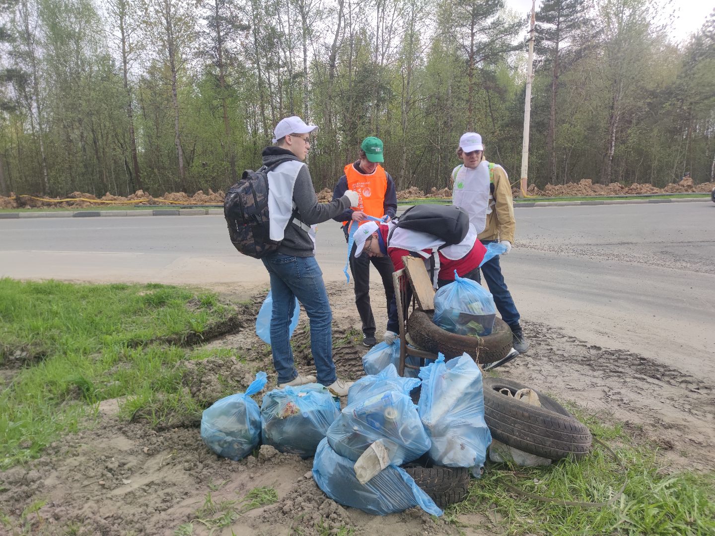 экология, плоггинг, уборка, студенты, Дубна