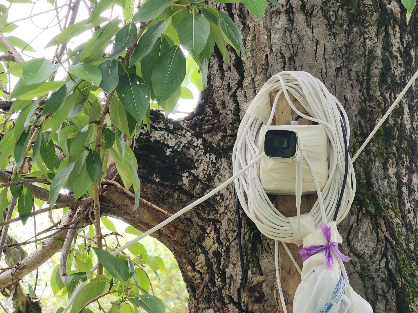 Егорьевск, Подмосковье, Московская область,