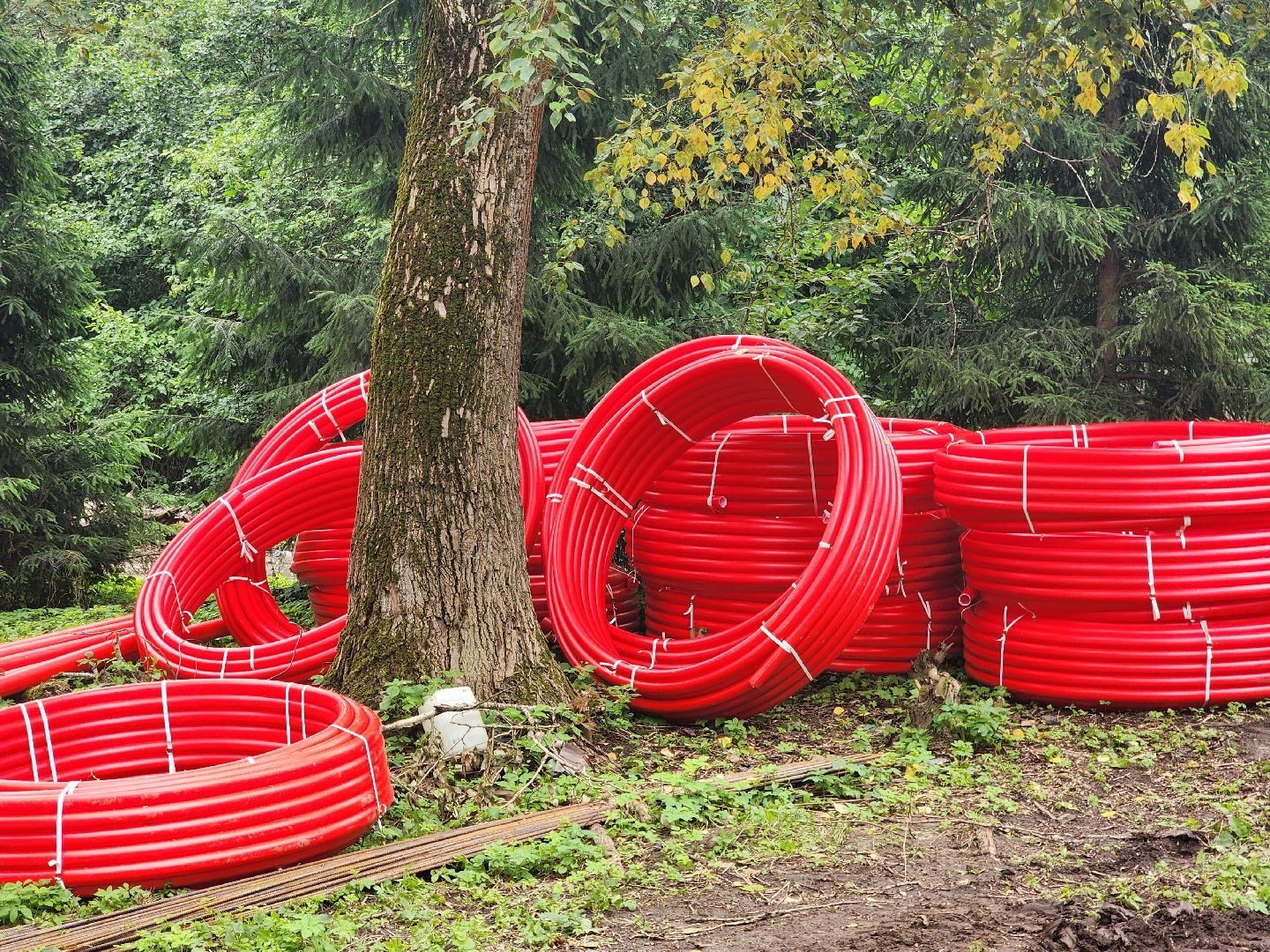 королёв,  благоустройство парка, парк папанинская дача,