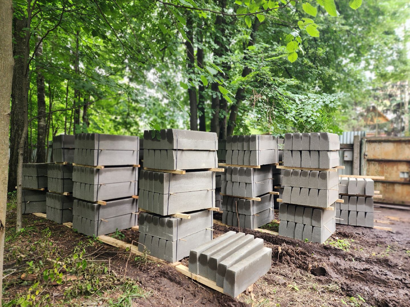 королёв,  благоустройство парка, парк папанинская дача,