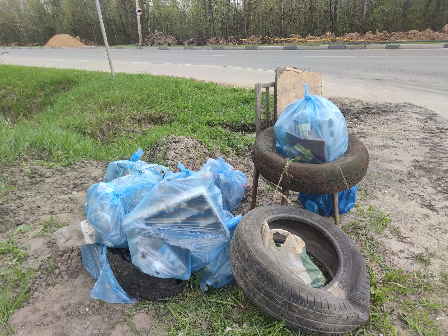 экология, плоггинг, результаты, Дубна