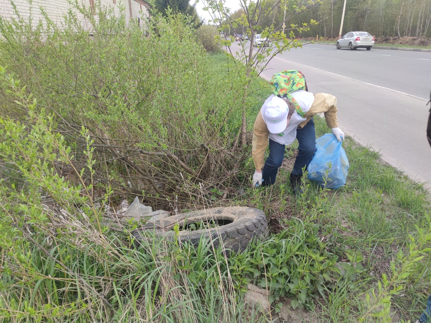экология, плоггинг, результаты, Дубна