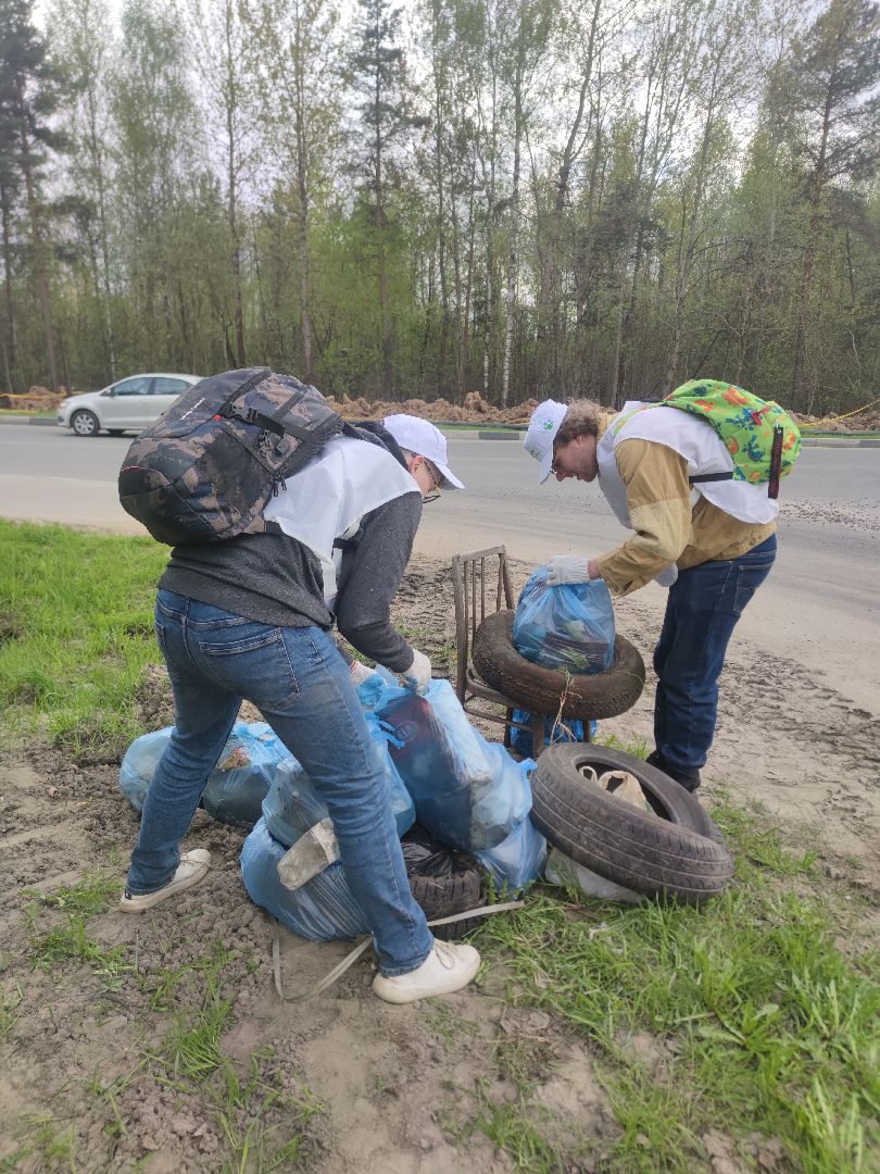 экология, плоггинг, результаты, Дубна