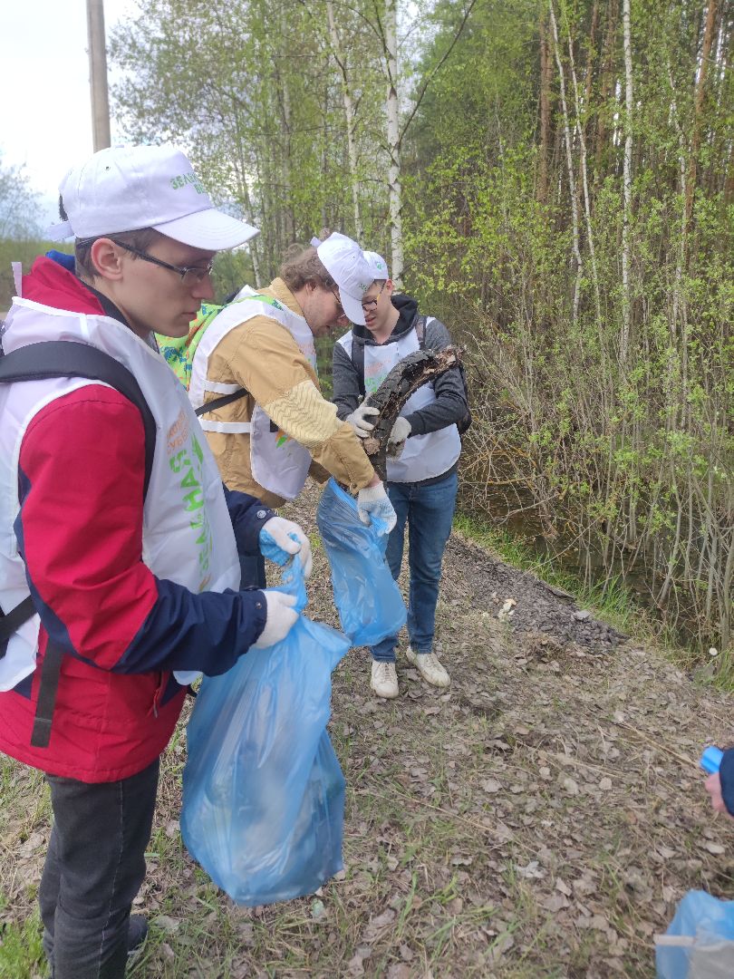 экология, плоггинг, результаты, Дубна