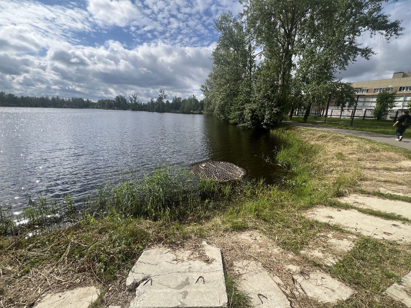 Запрудня, талдомский городской округ,