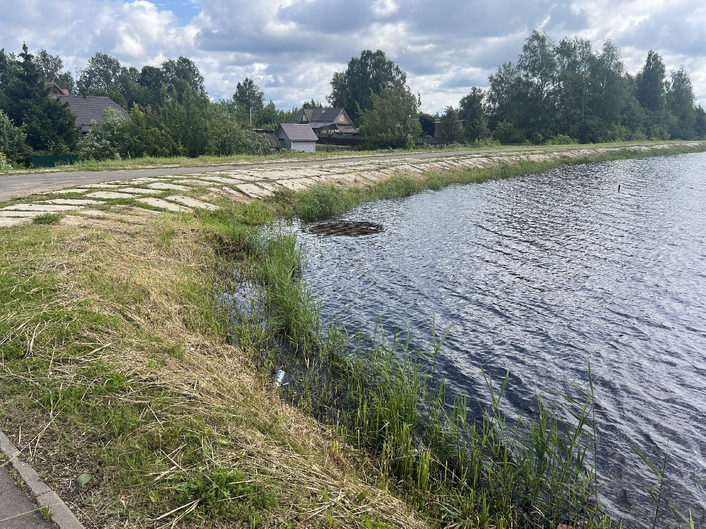 Запрудня, талдомский городской округ,